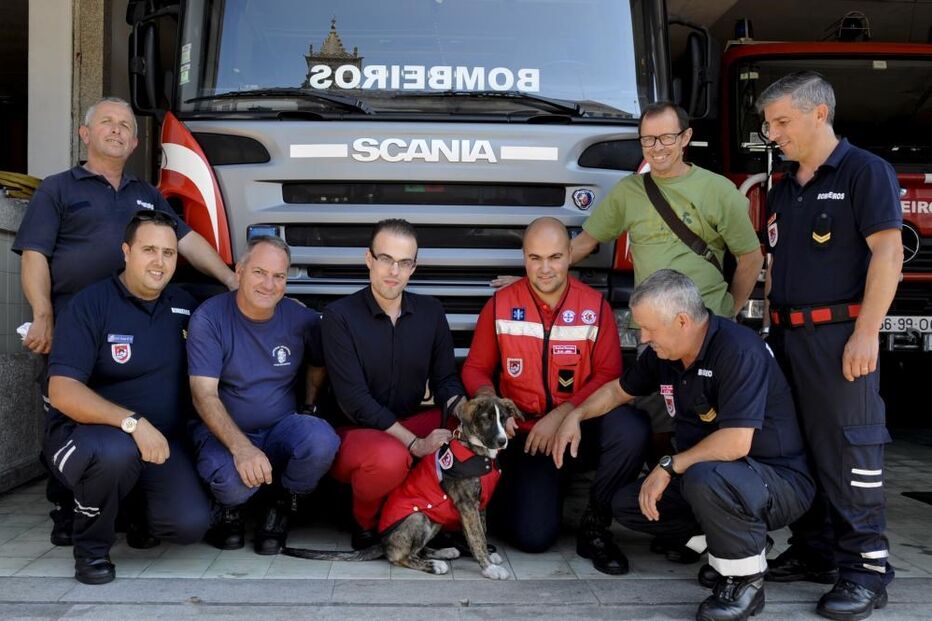 Nina, cadela, bombeiros, Viana do Castelo
