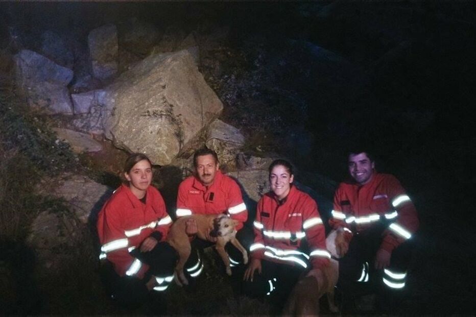 Bombeiros, salvamento, cadela, resgate, pedreira, Paços de Ferreira, Monte do Pilar, Penamaior