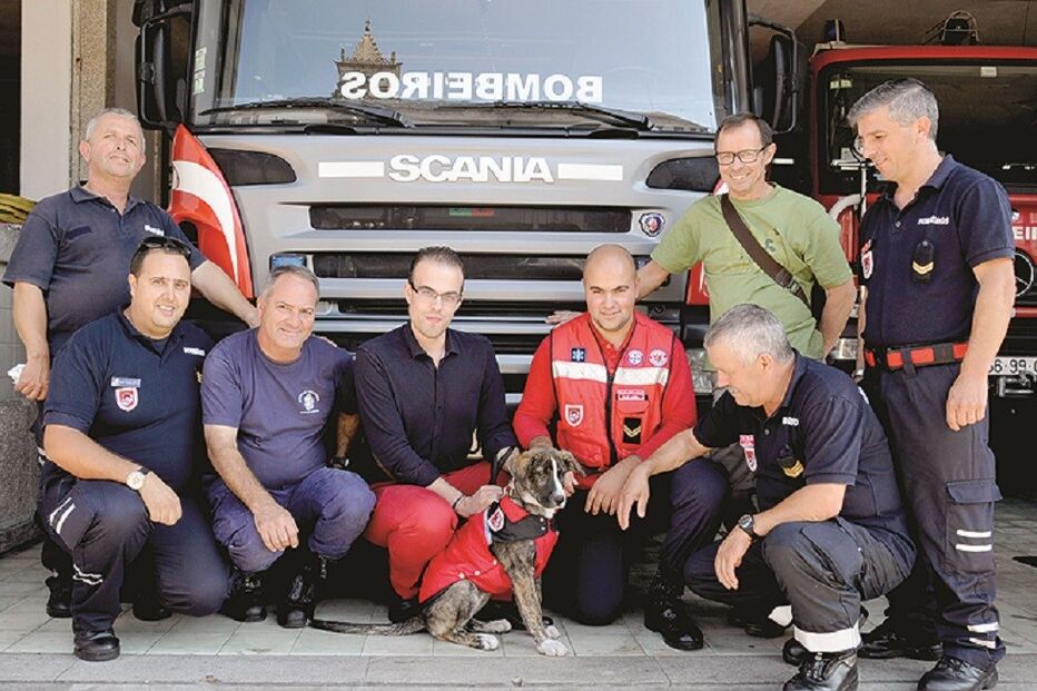 Bombeiros, cadela, cadela abandonada, animais, Viana do Castelo, corporação de Viana do Castelo, Nina