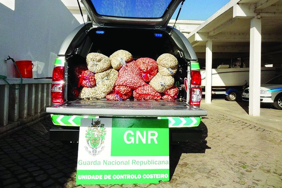 28-09-2015_22_21_09 10 bivalves.jpg