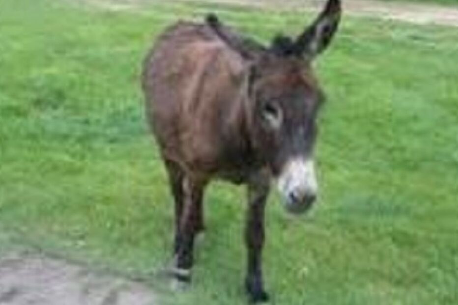 30-09-2015_04_52_47 10754046.JPG