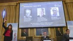 Nobel da Química para três investigadores