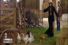 A Quinta, programa, televisão, tv, reality show, TVI, estreia, Liliana Aguiar, Marta Cruz