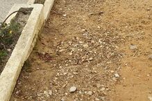 Olhão, escola EB1 de Olhão n.º 5, degradação