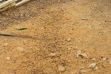 Olhão, escola EB1 de Olhão n.º 5, degradação