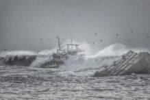 naufrágio, Olívia Ribau, Figueira da Foz, pescadores