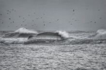 naufrágio, Olívia Ribau, Figueira da Foz, pescadores