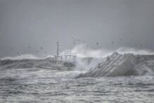 naufrágio, Olívia Ribau, Figueira da Foz, pescadores