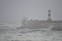 naufrágio, Olívia Ribau, Figueira da Foz, pescadores