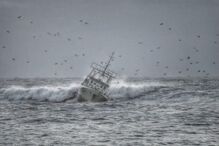 08-10-2015_17_11_09 10800108.JPG