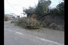 leitores, fotografias, mau tempo, chuva, vento, temporal