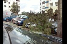 leitores, fotografias, mau tempo, chuva, vento, temporal