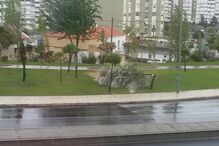 leitores, fotografias, mau tempo, chuva, vento, temporal