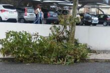 mau tempo, fotos dos leitores, temporal