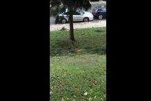 mau tempo, fotos dos leitores, temporal