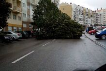 mau tempo, fotos dos leitores, temporal