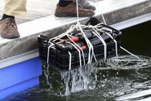 Alqueva, albufeira, produtor, vinhos, Vinho da Água, Alentejo, Ervideira