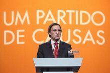 João Calvão da Silva, Governo, PSD, governo (sistema), executivo (governo), Administração Interna