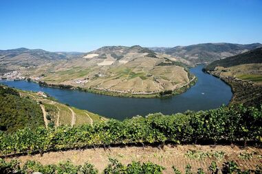 Douro, vinhas