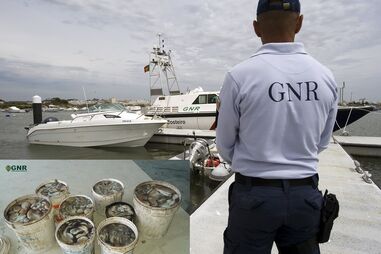 polvo, militares, Manta Rota, Algarve, fiscalização, gnr