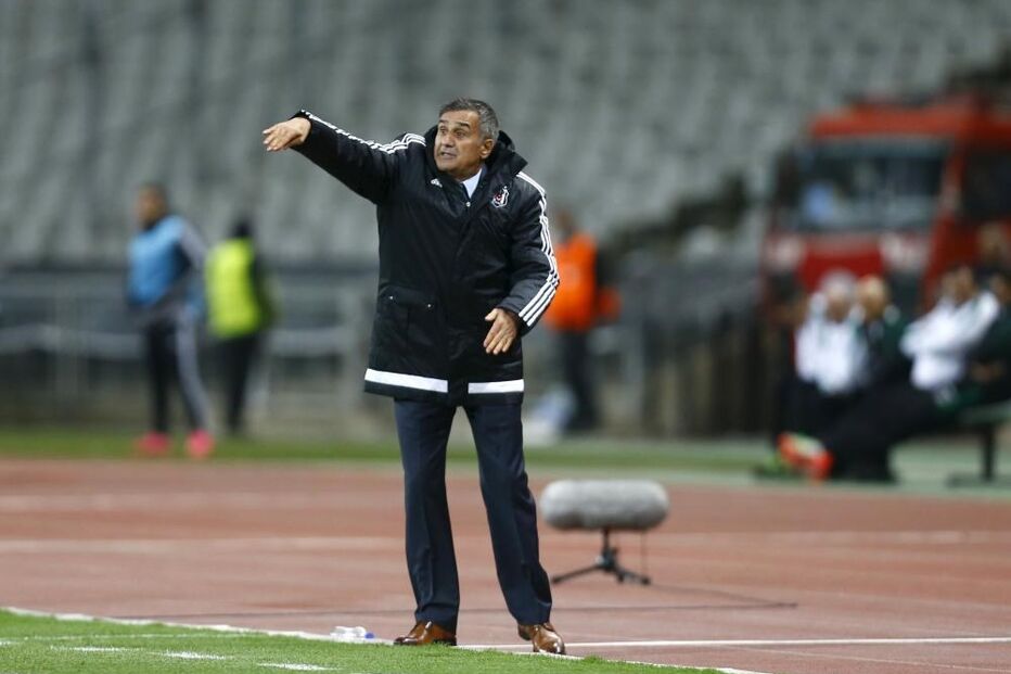 01-10-2015_20_11_49 7.jpg