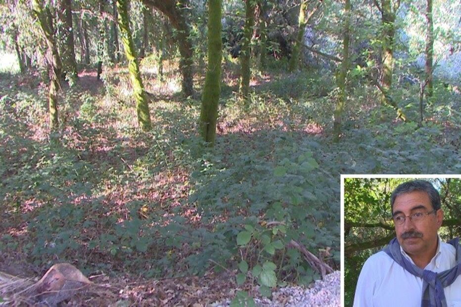 02-10-2015_02_21_57 10 norte ossadas.jpg