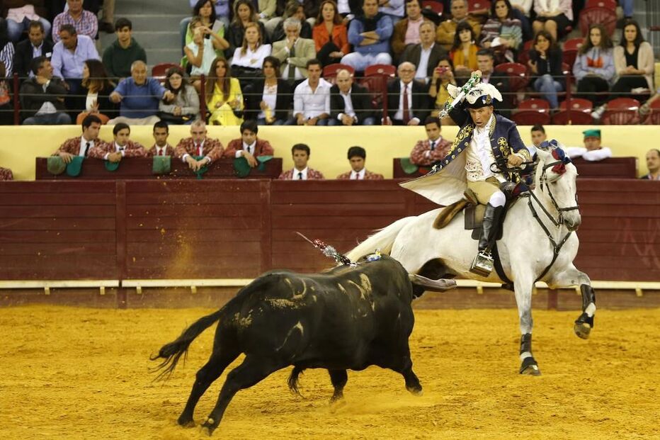 02-10-2015_04_16_13 10064339.JPG