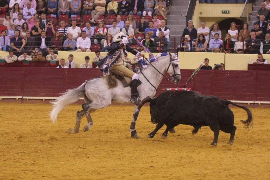 02-10-2015_18_34_11 tauro.jpg