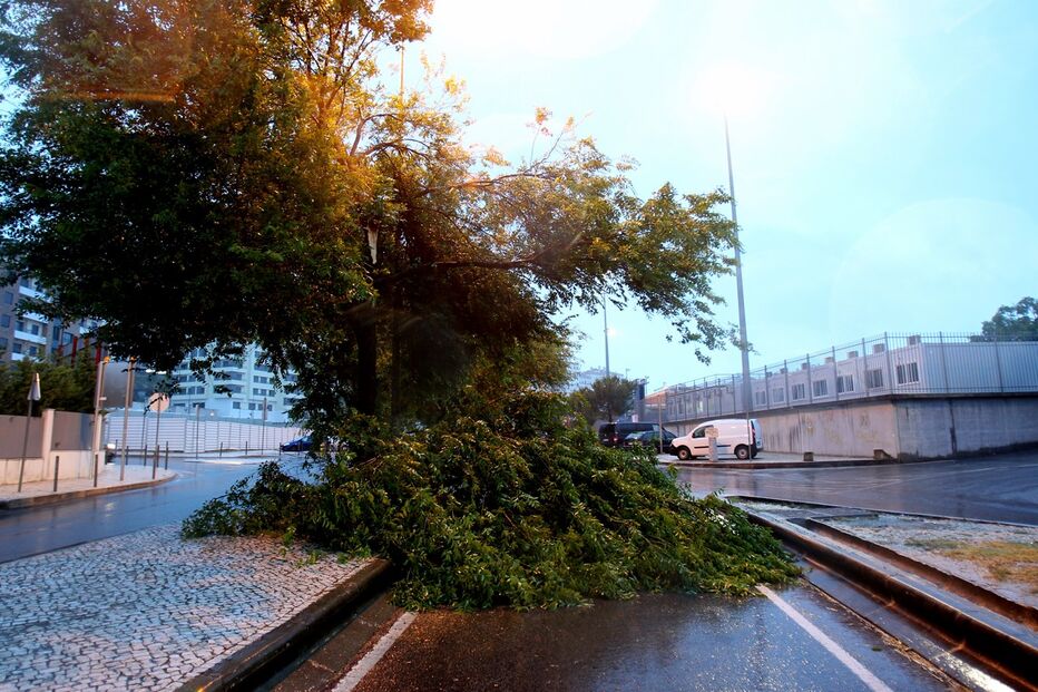 02-10-2015_23_10_28 29 tempo.jpg