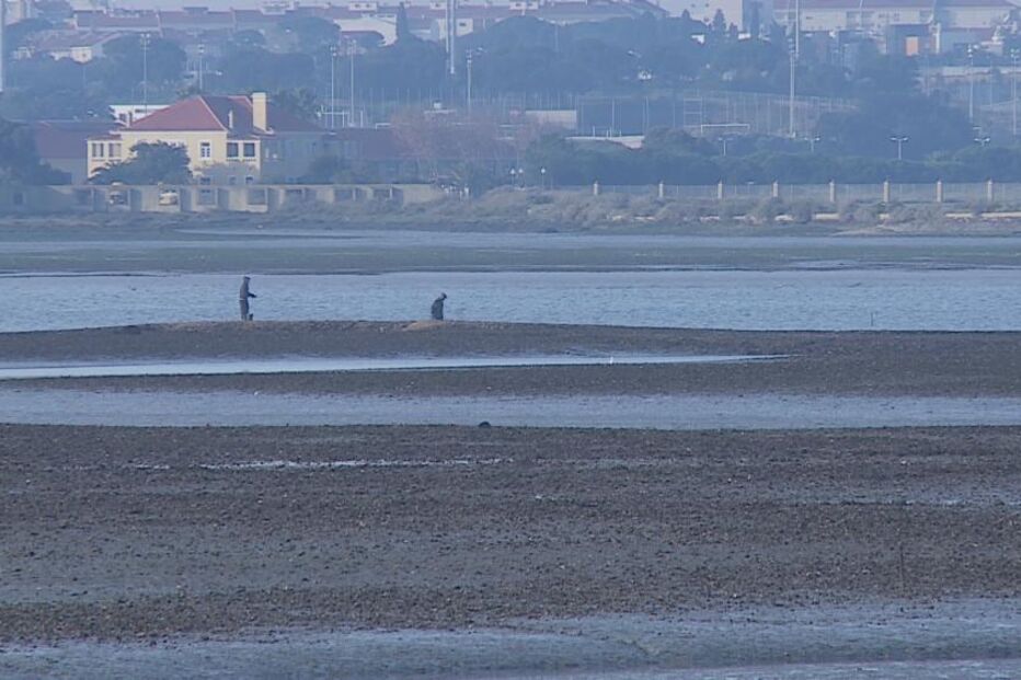 04-10-2015_04_11_03 9390925.JPG