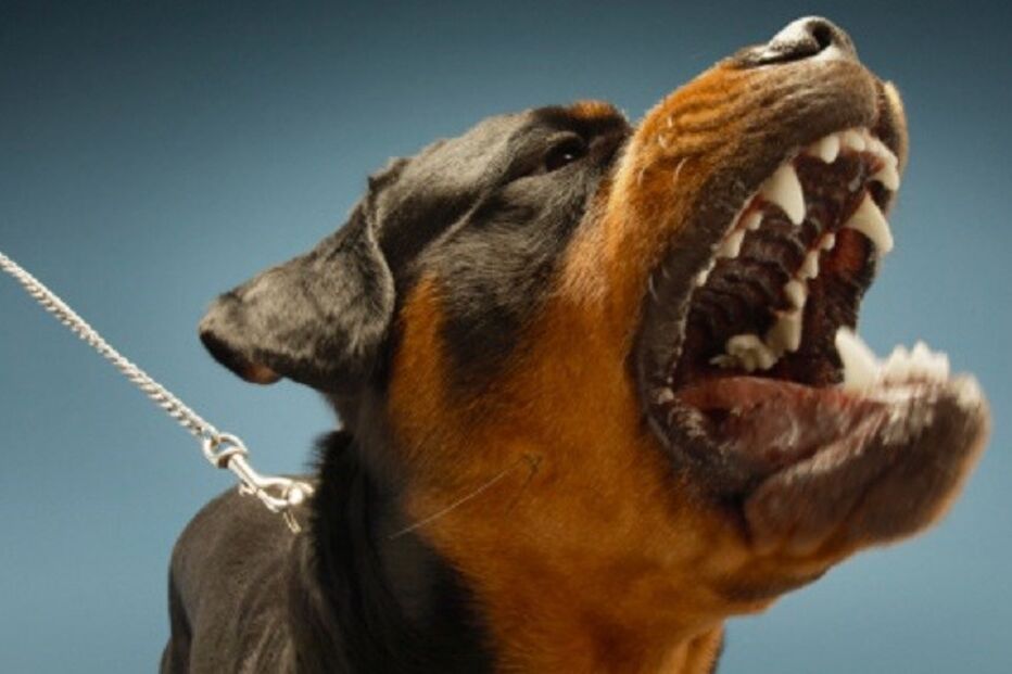 04-10-2015_04_26_51 77748338.jpg