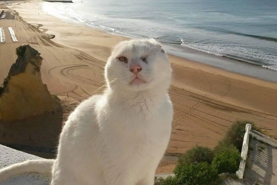 05-10-2015_03_16_23 10780266.JPG