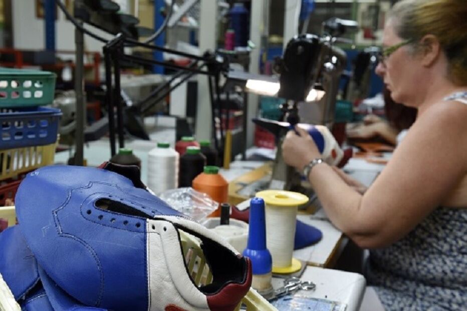  Sindicato Nacional dos Profissionais da Indústria e Comércio de Calçado, Malas e Afins, trabalho, economia, negócios e finanças