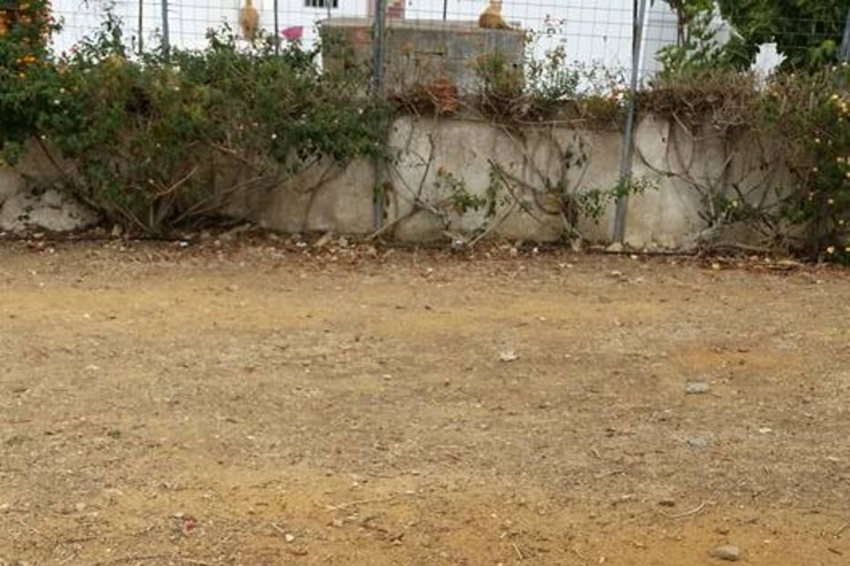 Olhão, escola EB1 de Olhão n.º 5, degradação