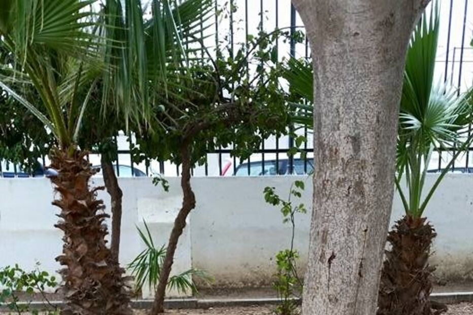 Olhão, escola EB1 de Olhão n.º 5, degradação