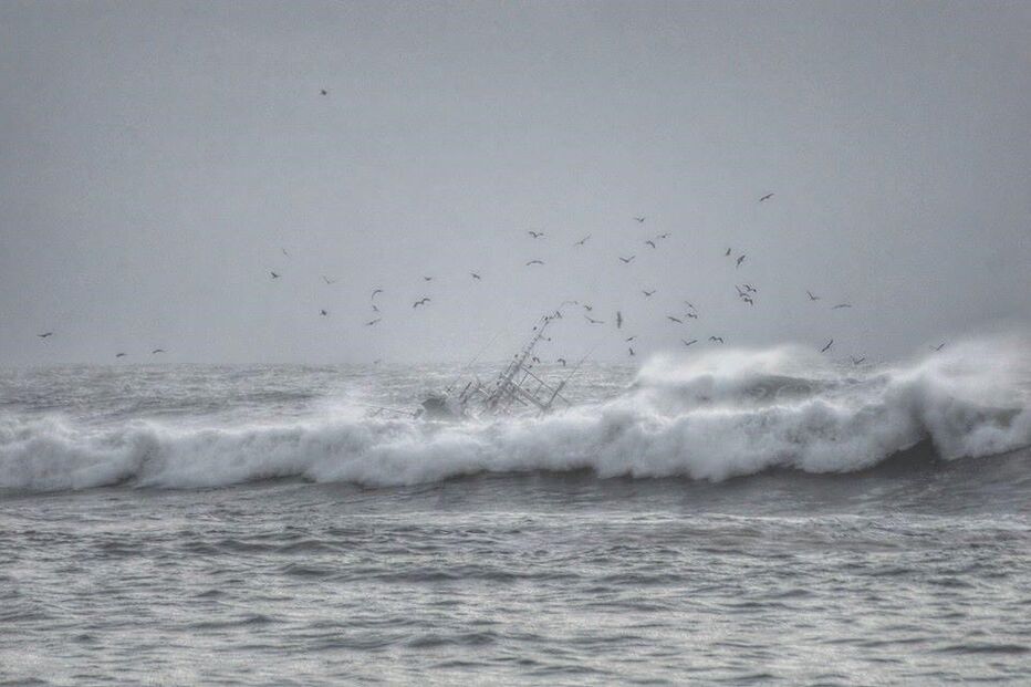 naufrágio, Olívia Ribau, Figueira da Foz, pescadores
