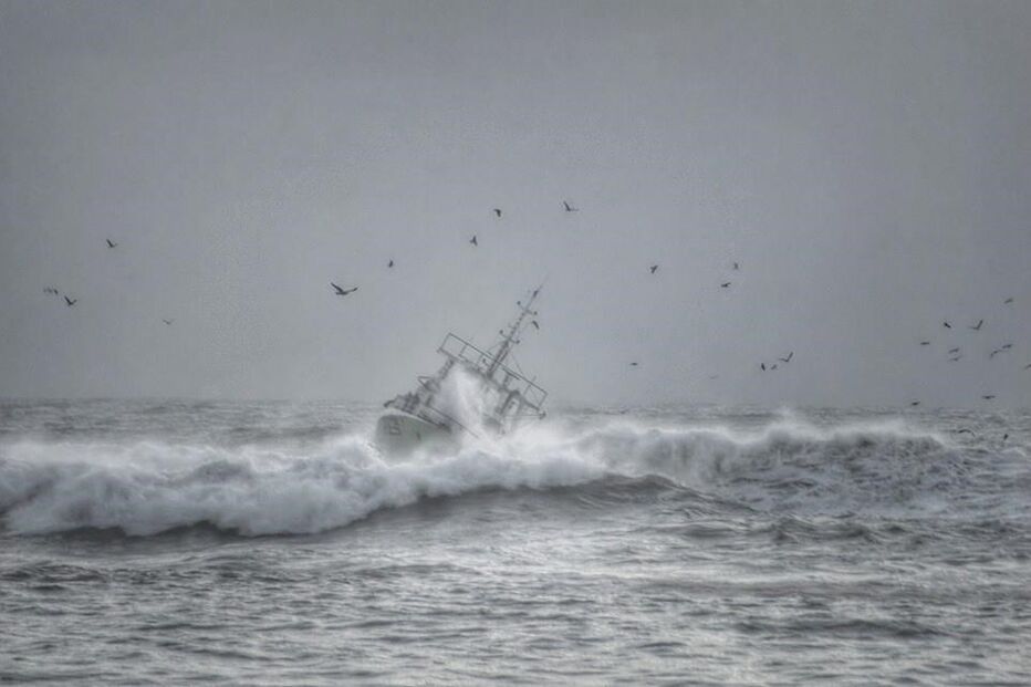 naufrágio, Olívia Ribau, Figueira da Foz, pescadores
