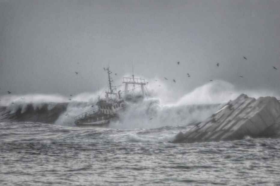 naufrágio, Olívia Ribau, Figueira da Foz, pescadores