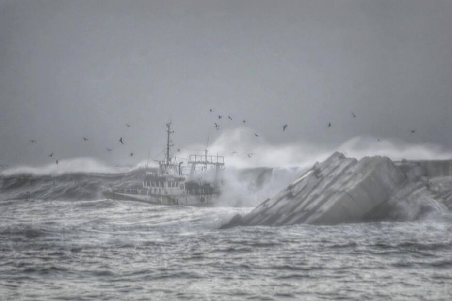 naufrágio, Olívia Ribau, Figueira da Foz, pescadores