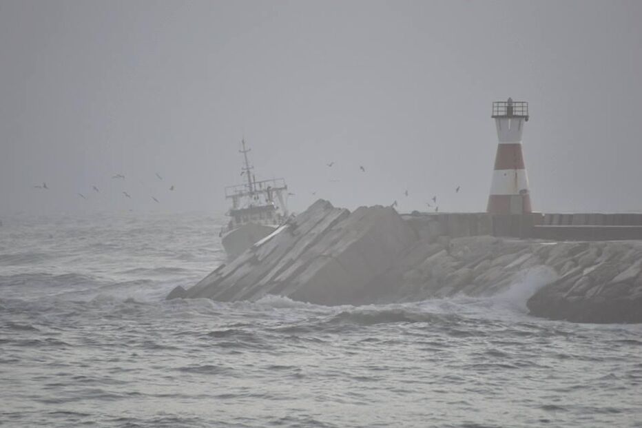 naufrágio, Olívia Ribau, Figueira da Foz, pescadores