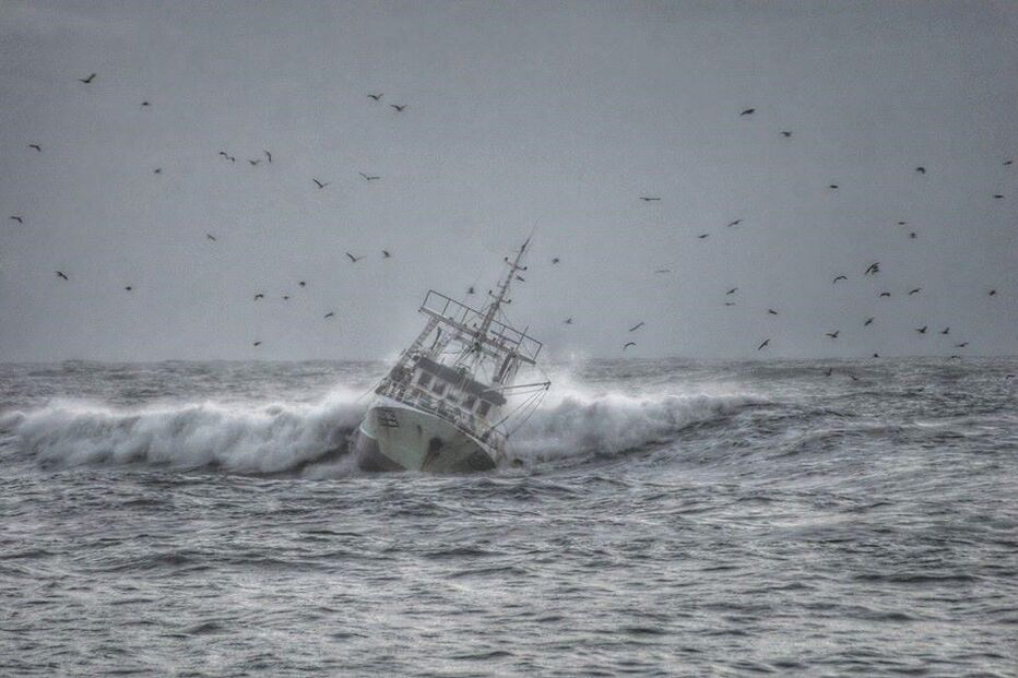 08-10-2015_17_11_09 10800108.JPG