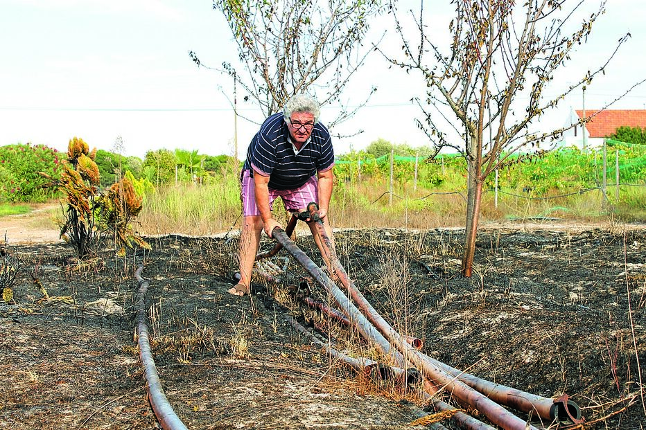 Pai e filho destroem 200 mil € com o fogo 