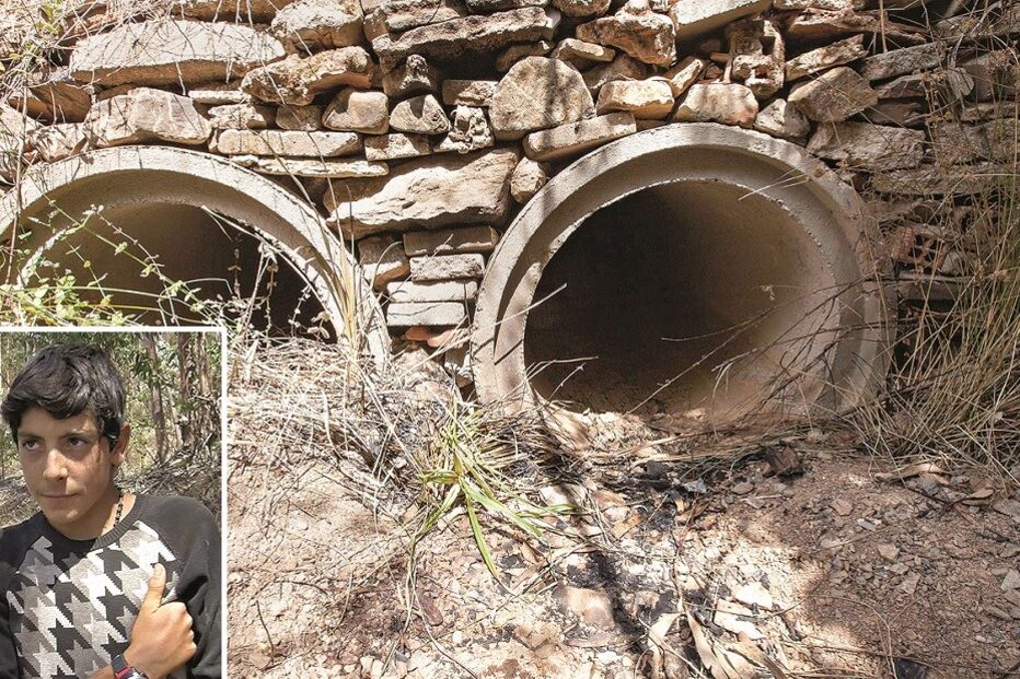 10-10-2015_02_56_59 12 matou.jpg