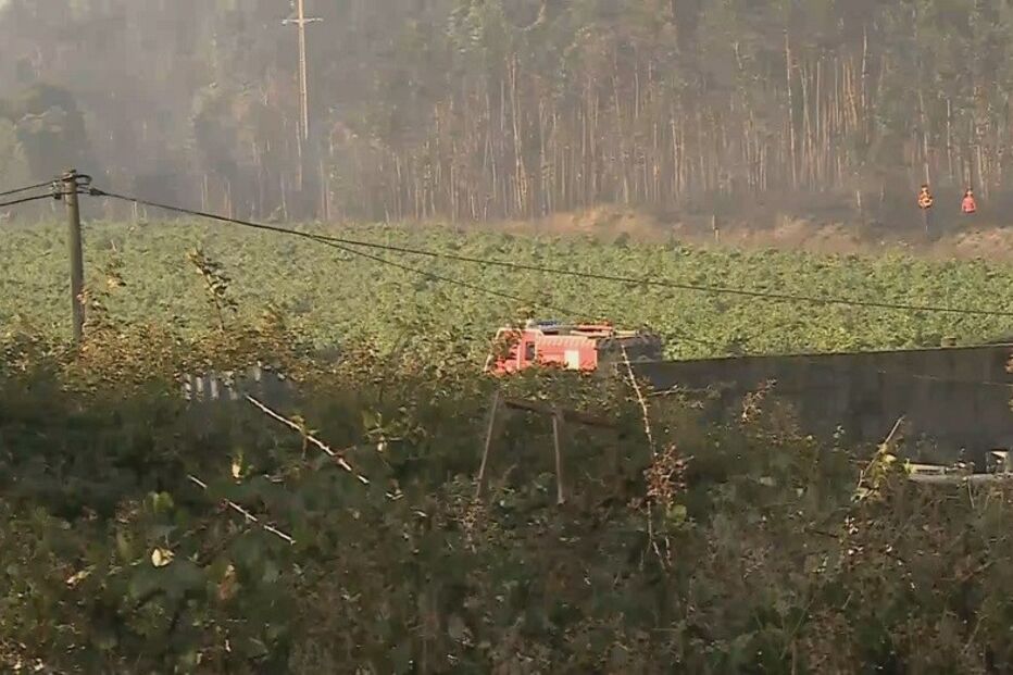 bolacha incêndio, incêndio