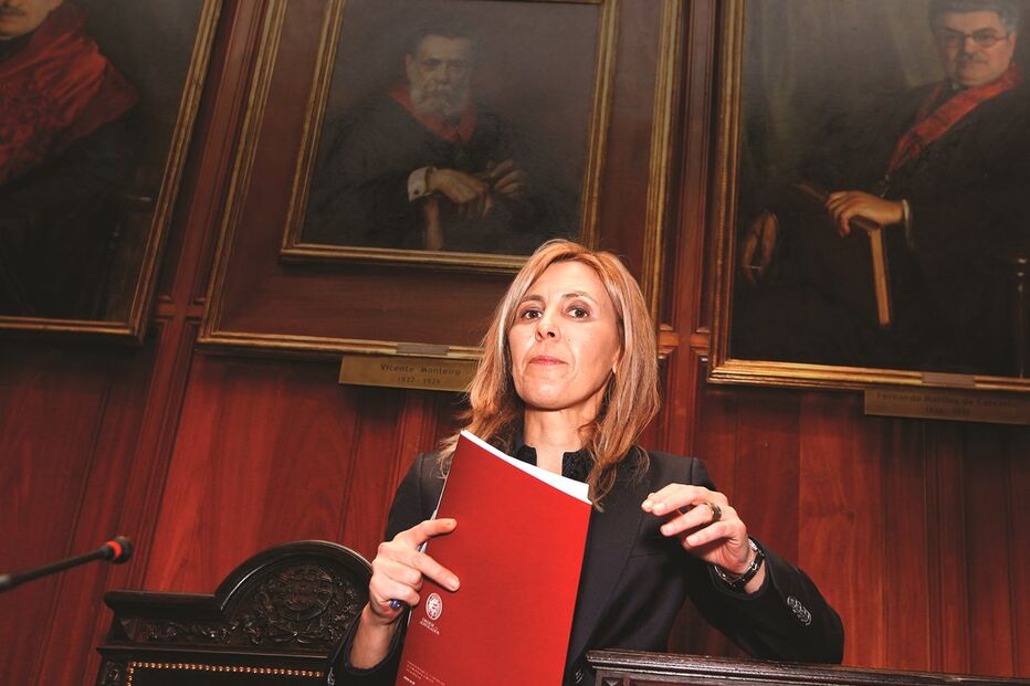 advogados, estágio, Ordem, licenciados, direito, profissão, formação