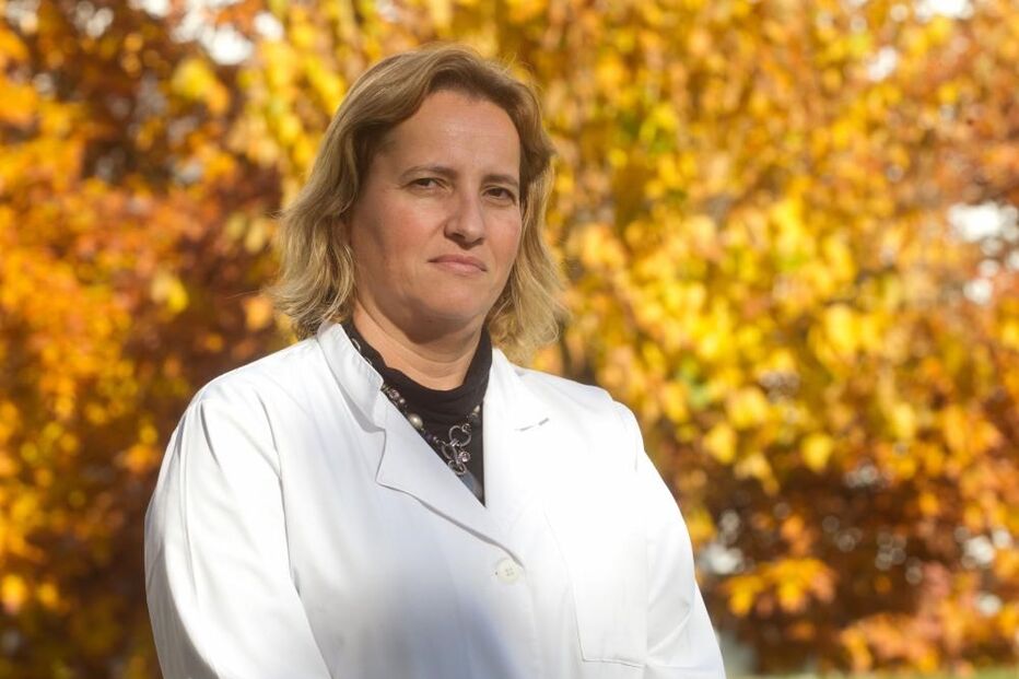 saúde, doenças, cancro, Sociedade Portuguesa de Medicina da Reprodução, Sociedade Portuguesa de Oncologia, parceria, aumento, reprodução