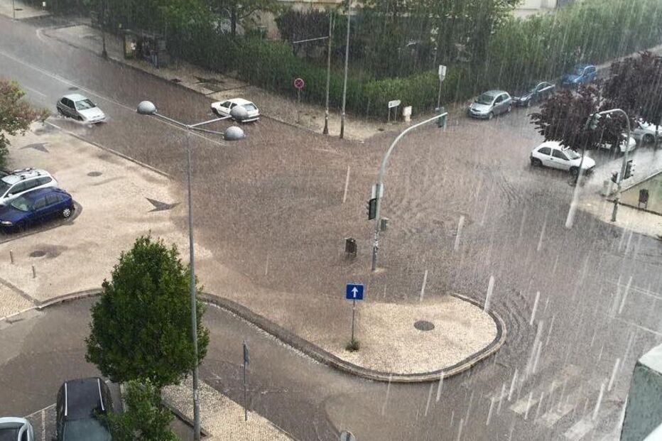 Tempo, Proteção Civil, registo, ocorrências, queda, árvores, chuva, vento, Portugal