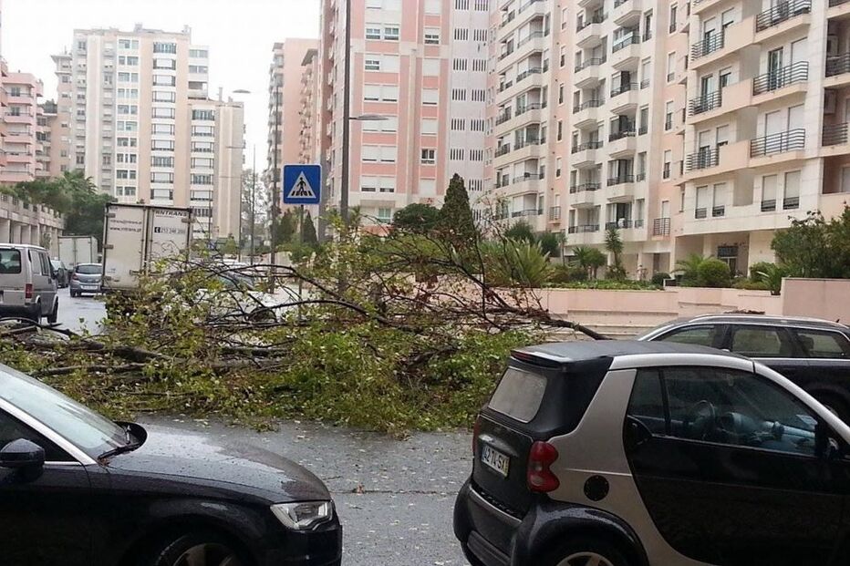 Queda, cobertura, hipermercado, Mafra, ferido, tempo