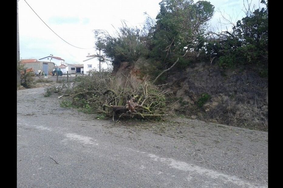 leitores, fotografias, mau tempo, chuva, vento, temporal