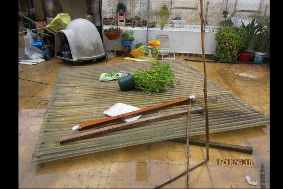 leitores, fotografias, mau tempo, chuva, vento, temporal